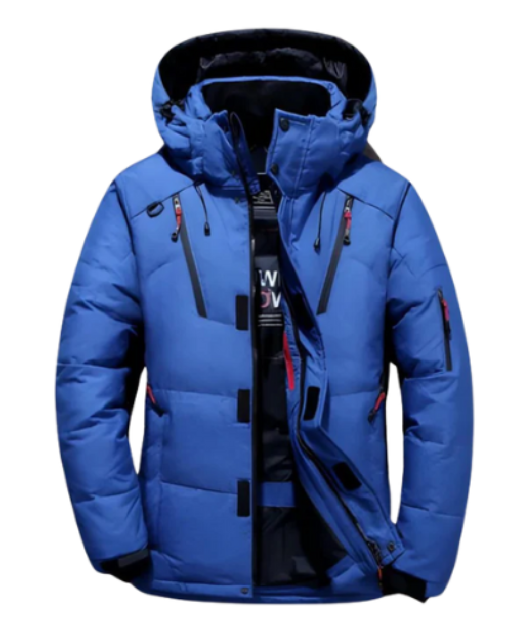 Chaqueta de plumón resistente al viento y al agua - Oliver